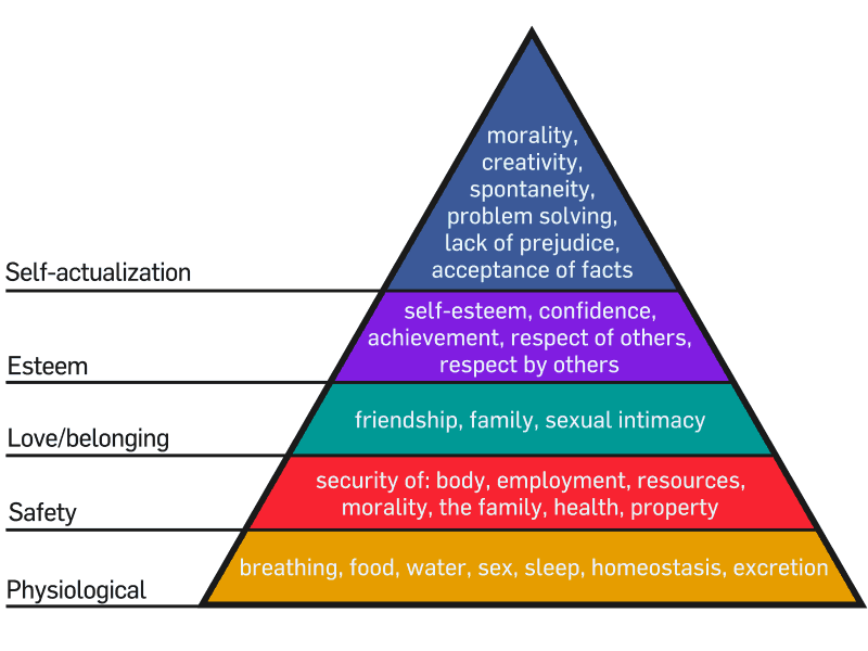 hierarchy of needs